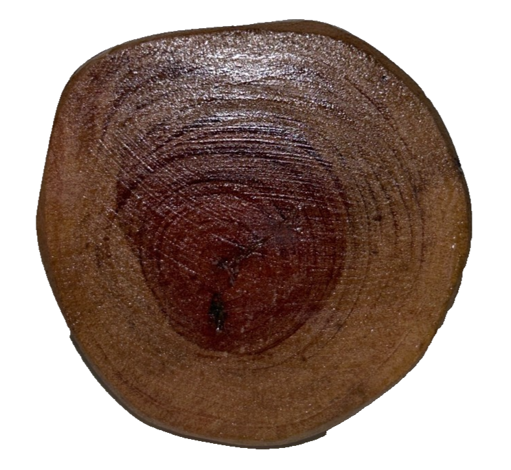 Copper Wire Bonsai Sculpture on Thunder Egg Base – Handmade Art Piece