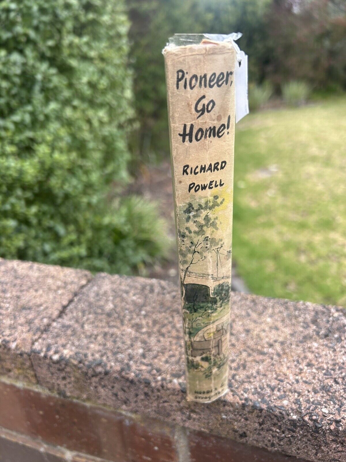 Pioneer, Go Home! Novel by R Powell 1959 Hodder And Stoughton (Vintage) Elvis