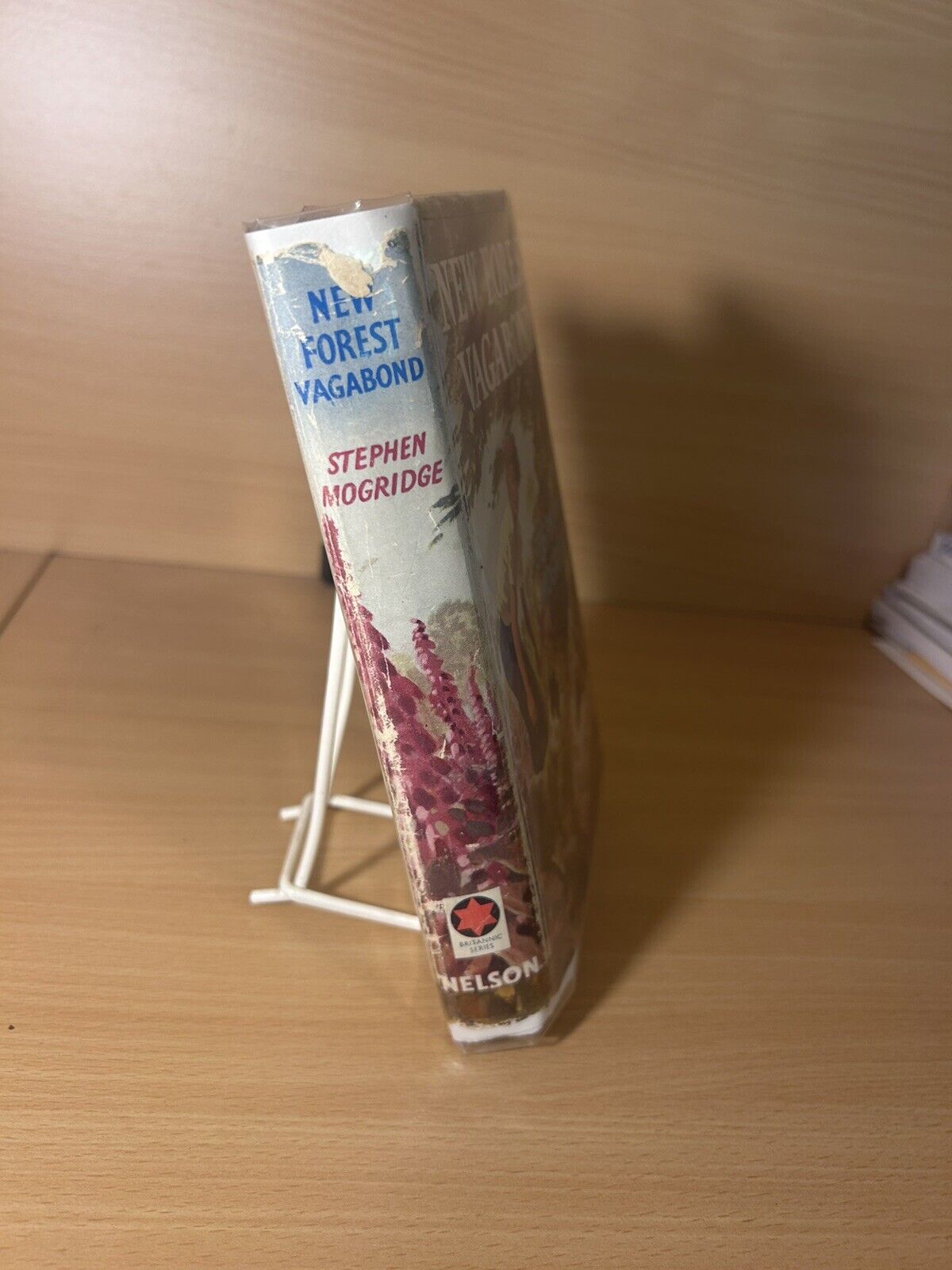 New Forest Vagabond -First Edition 1960 With Dust Jacket - Stephen Mogridge