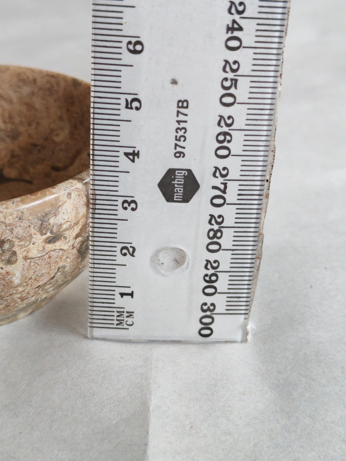 Vintage Polished Fossil Stone Bowl / Dish – Natural Earth Tones c. Mid–Late 20th