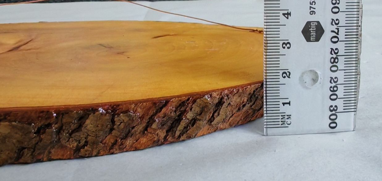 Early Settlement Village Pyrography on Live-Edge Timber Slab - Wall Plaque