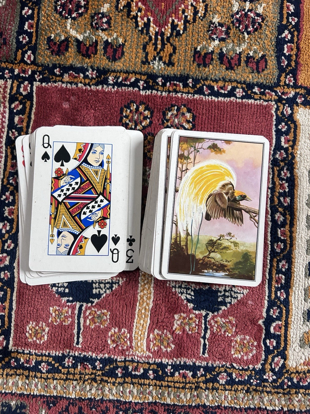 Vintage Austrian Playing Cards Bird of Paradise Design Plastic Coated w/ Box