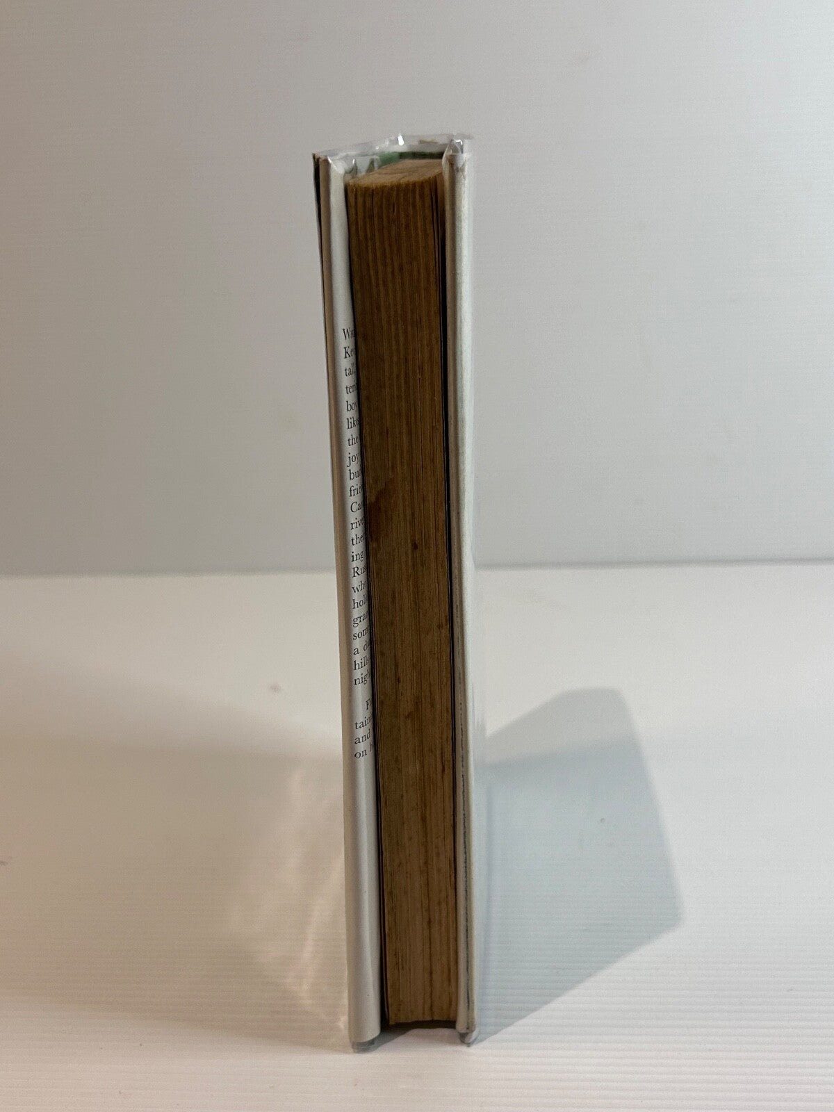 River Fugitive Melva Lear 1963 HC DJ 1st Ed Angus & Robertson Stackpool Art