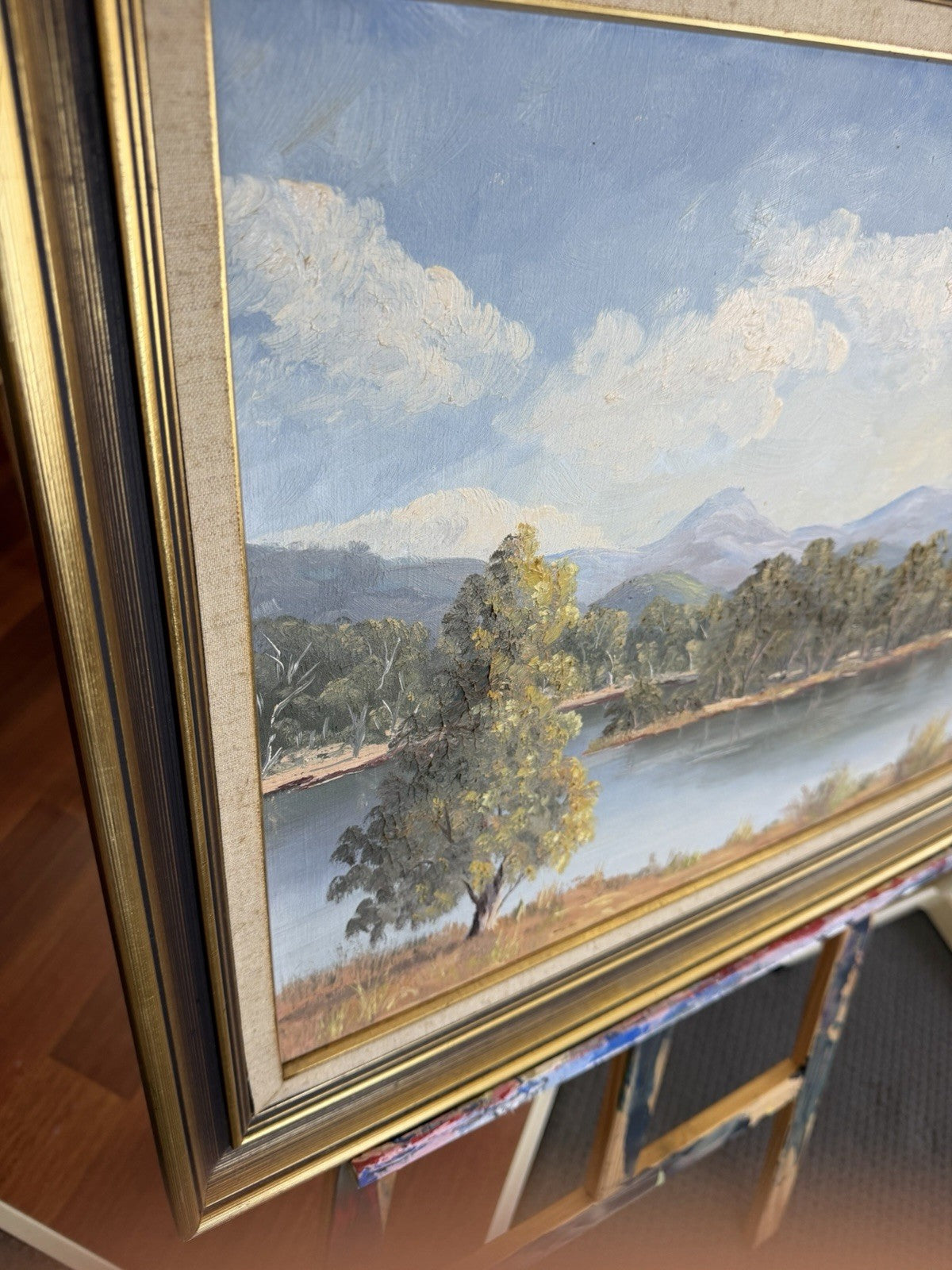 Sally Brown Original Oil Painting Terramona Lake NSW Australian Landscape Art