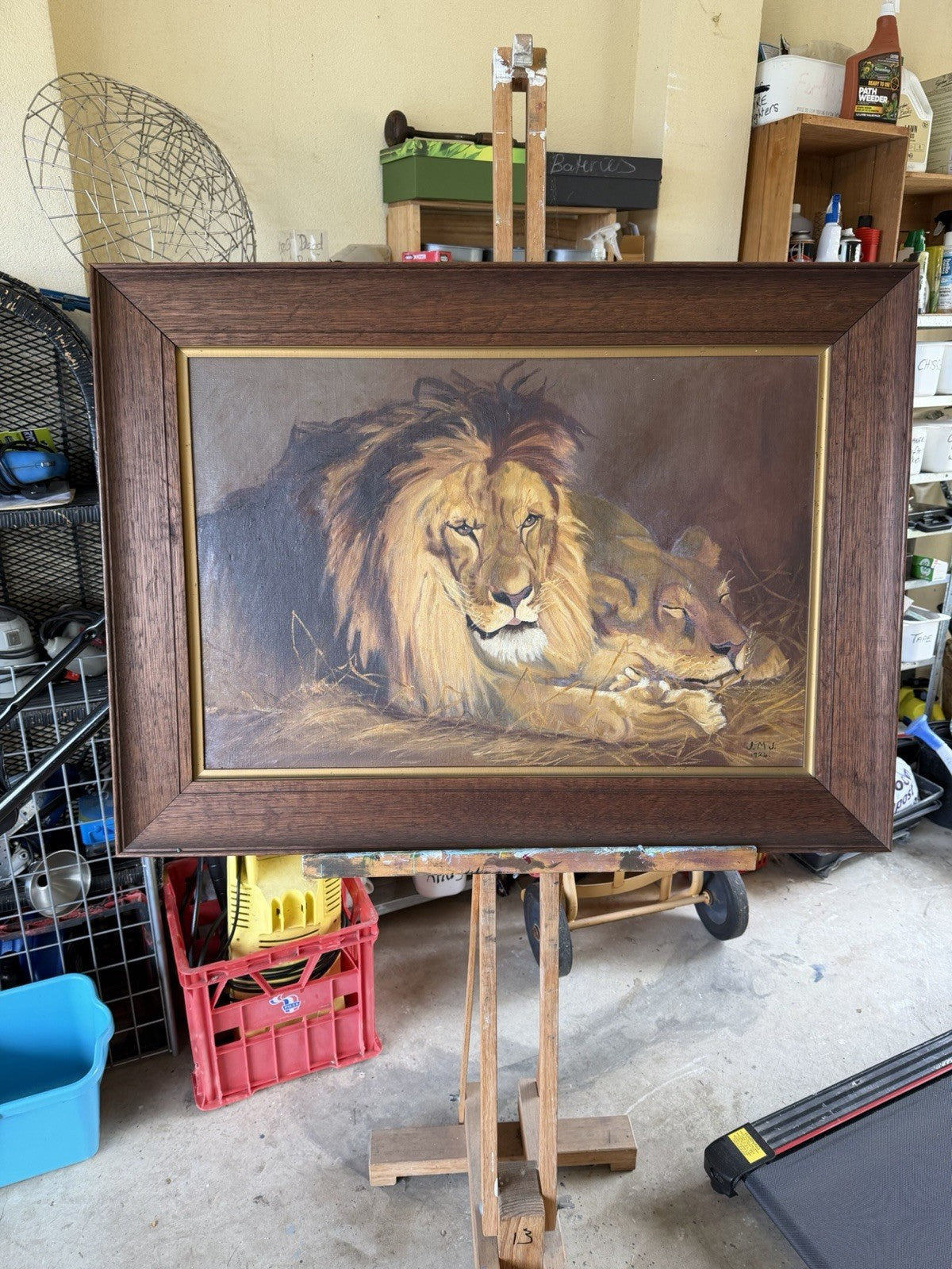 Large Original 1924 Oil Painting Lions – Signed J.M.J. – Period Frame