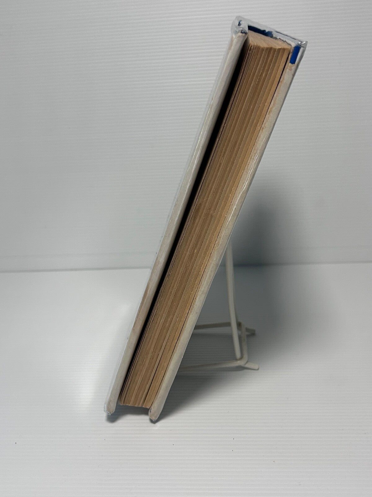 A Lady at Bay by Edgar Maass – First Australian Edition 1953 – Invincible Press