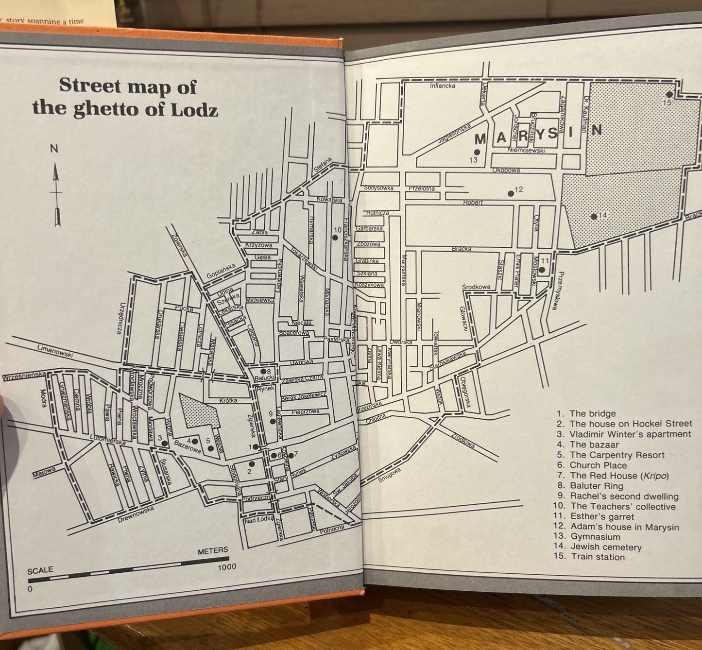 The Tree of Life Chava Rosenfarb 1985 Scribe 1st English Ed Lodz Ghetto