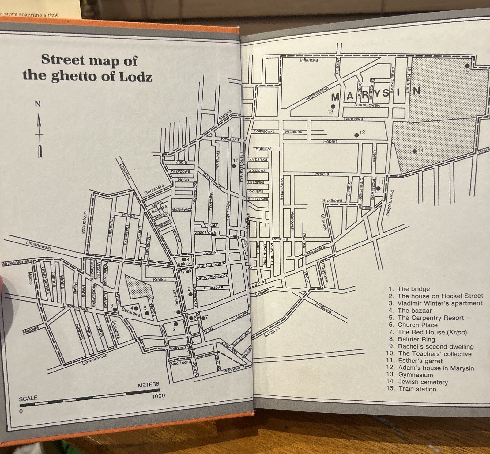 The Tree of Life Chava Rosenfarb 1985 Scribe 1st English Ed Lodz Ghetto