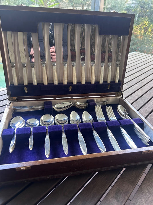 Grosvenor Ballerina Cutlery Set 50 Piece Boxed Faux MOP Handles Vintage EPNS