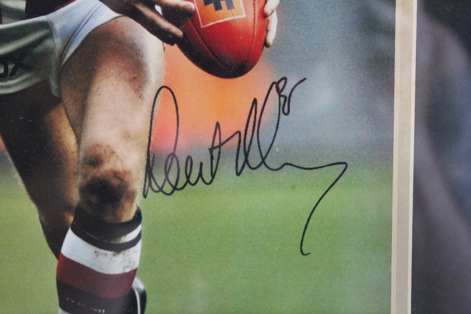 Robert Harvey Signed AFL Framed Display – St Kilda Legend – Autographed