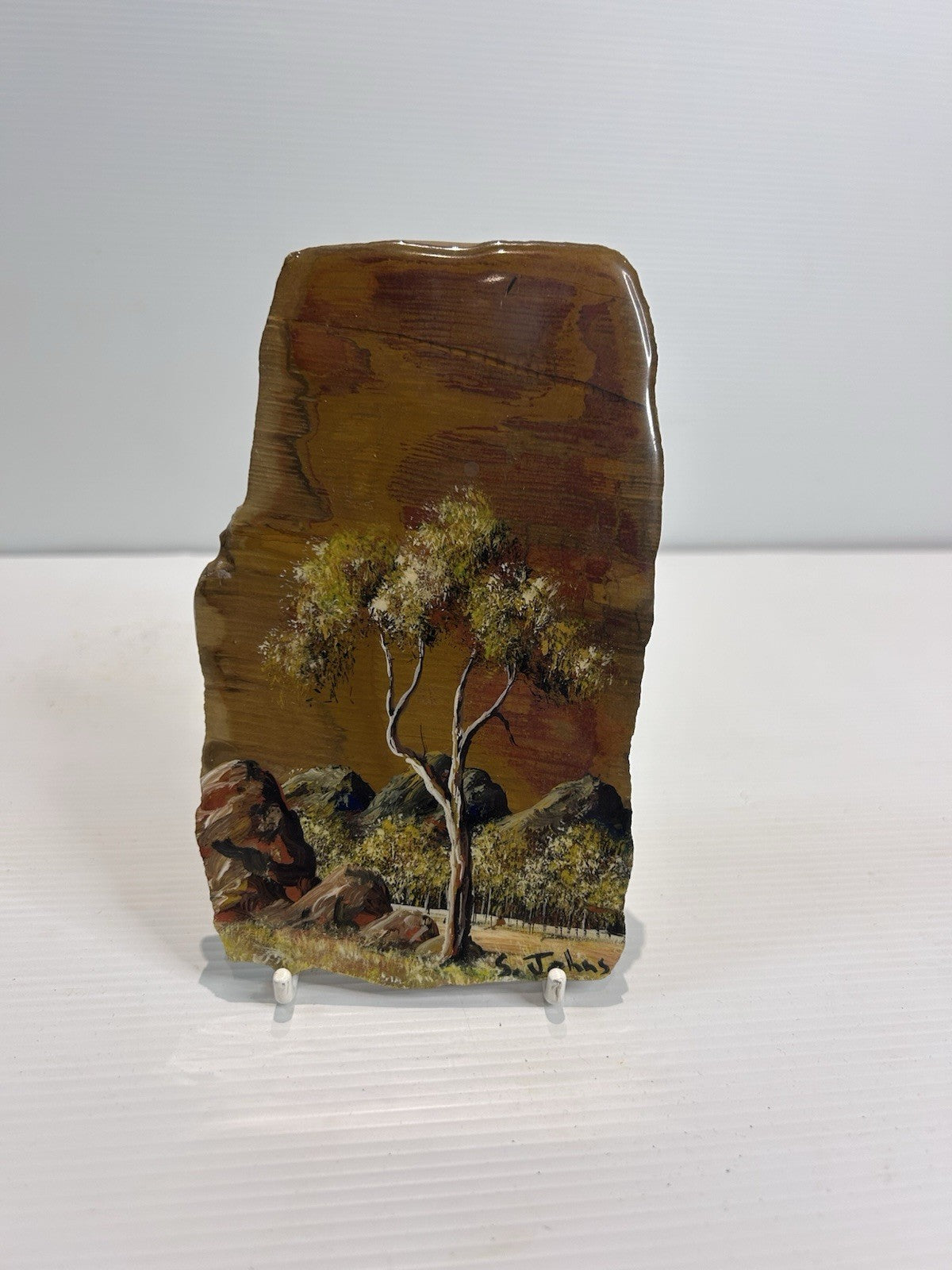 Steve Johns Hand Painted Petrified Wood Art Mareeba QLD Outback Scene