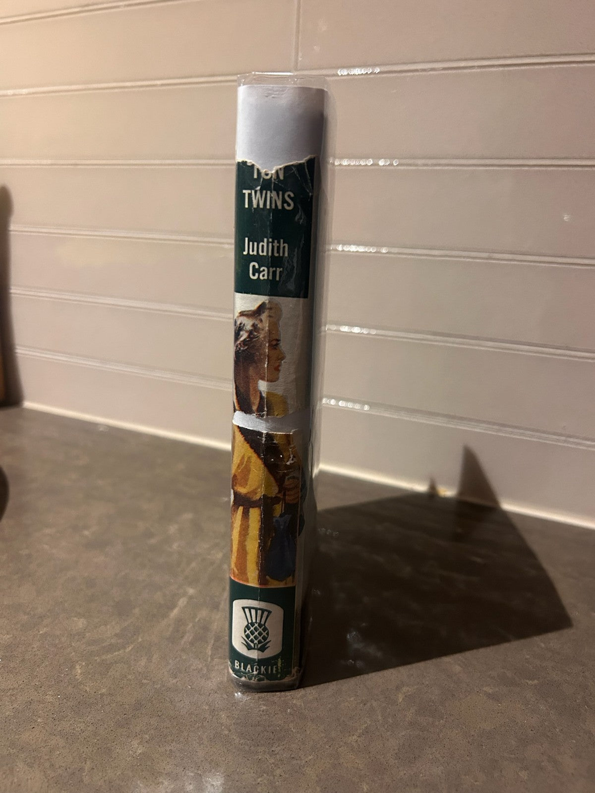 The Templeton Twins – Judith Carr | Early Ed. Vintage Hardcover w/ Dust Jacket