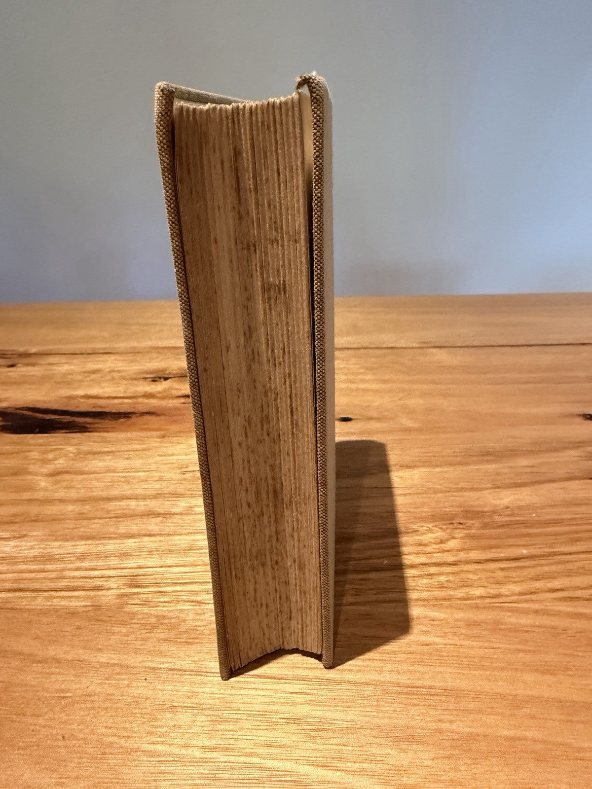 All Quiet on the Western Front Erich Maria Remarque 1929 Putnam Early UK Edition