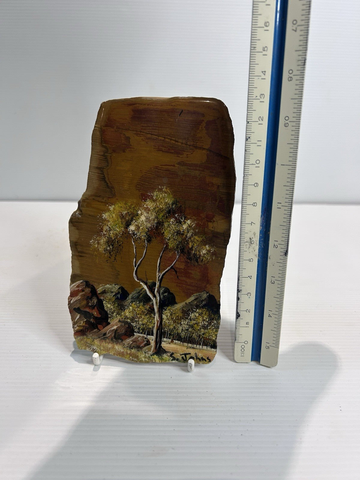 Steve Johns Hand Painted Petrified Wood Art Mareeba QLD Outback Scene