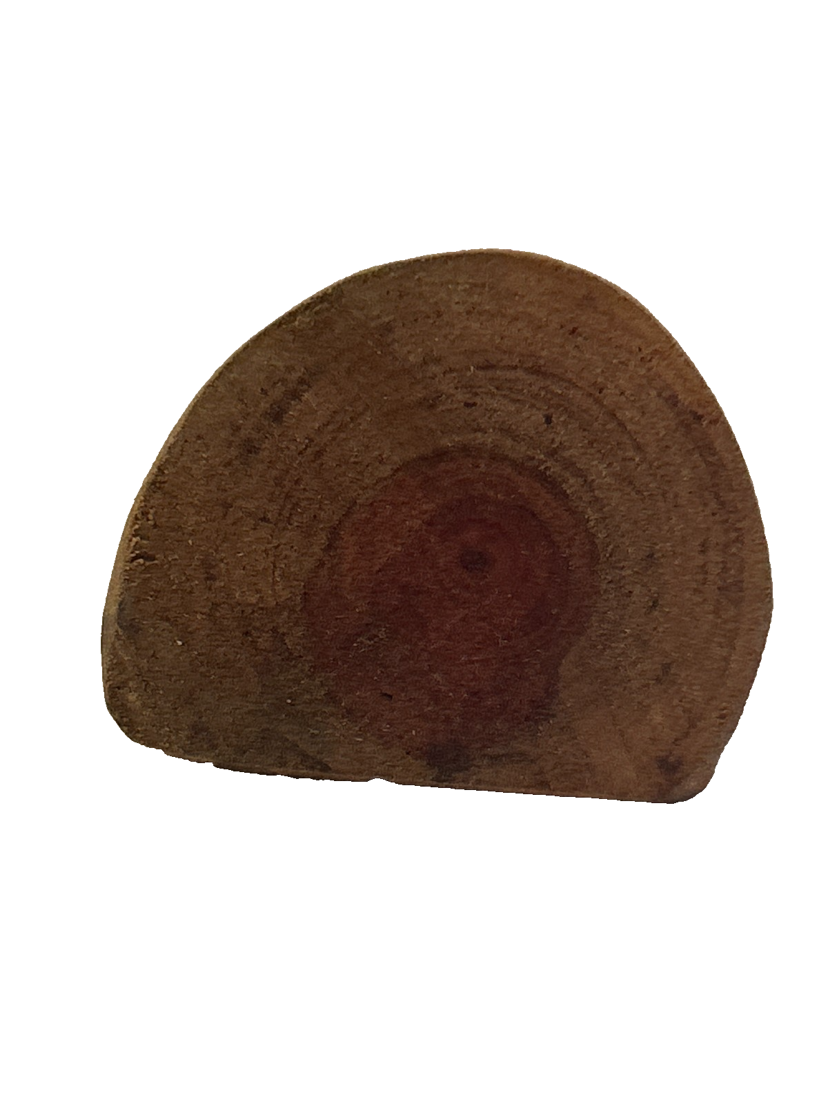 Handcrafted Gemstone Wire Bonsai on Thunder Egg Base – Made in Queensland, Austr