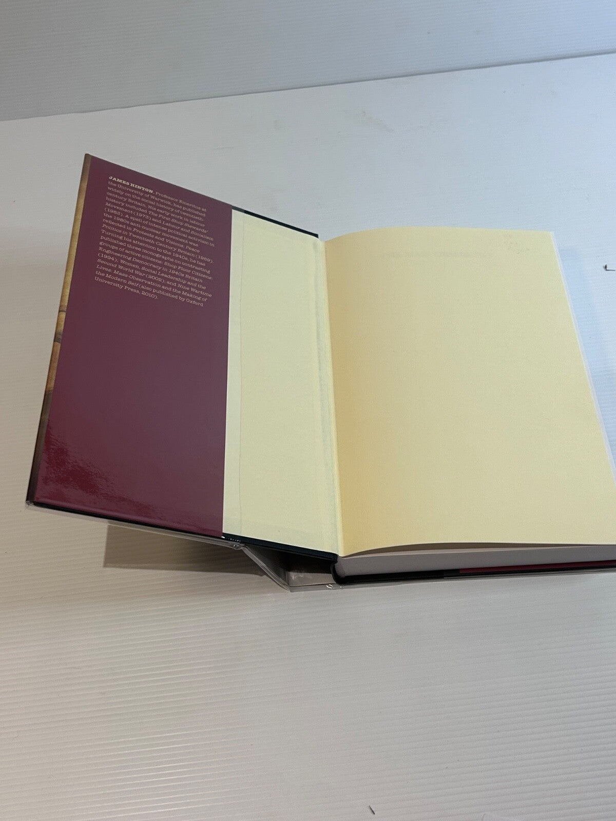 The Mass Observers James Hinton 2013 HC DJ 1st Ed Oxford History 401pp
