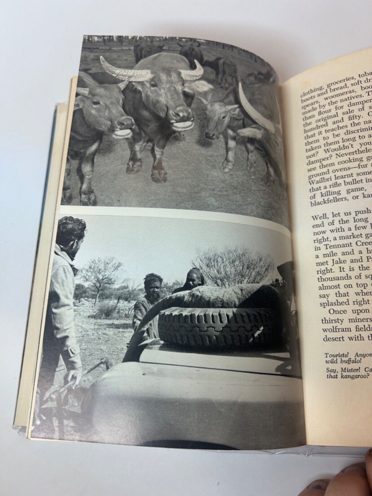 Up The Track - Douglas Lockwood - I The Aboriginal   HC/DJ - First Edition  1964