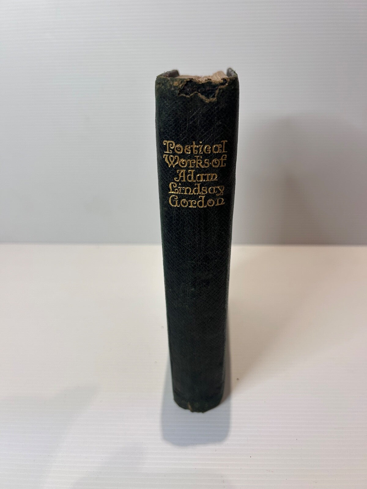 Poetical Works of Adam Lindsay Gordon HC Ward Lock c1900 Gilt Leather 304pp