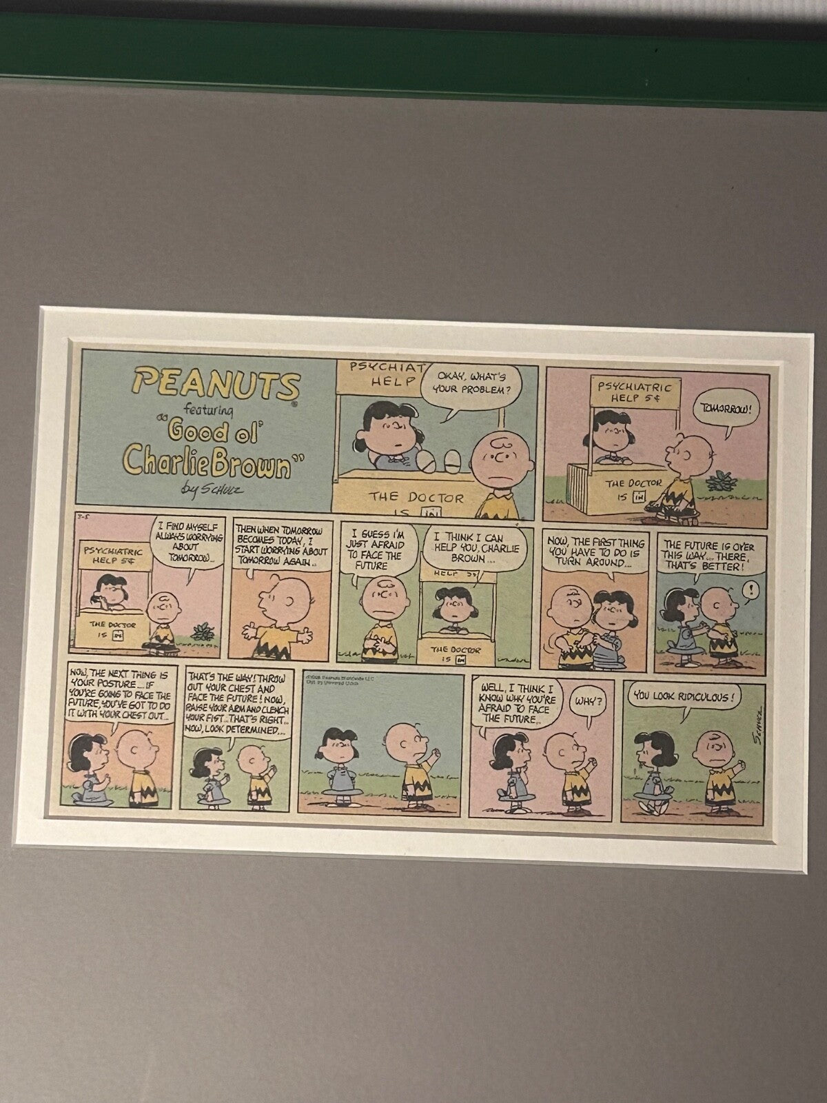 Framed 1968 Peanuts Comic Strip – Charlie Brown & Lucy “Face the Future” Schulz