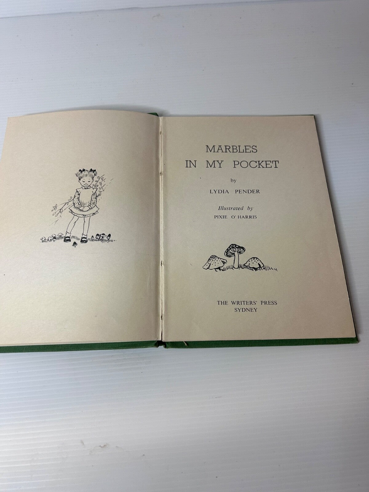 marbles in my pocket by lydia pender