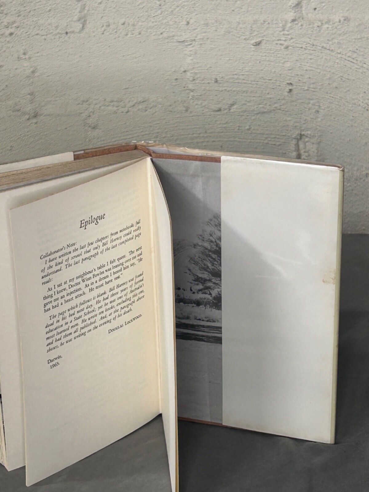 The Shady Tree Bill Harney & Douglas Lockwood First Edition Hardcover Dust Jacke