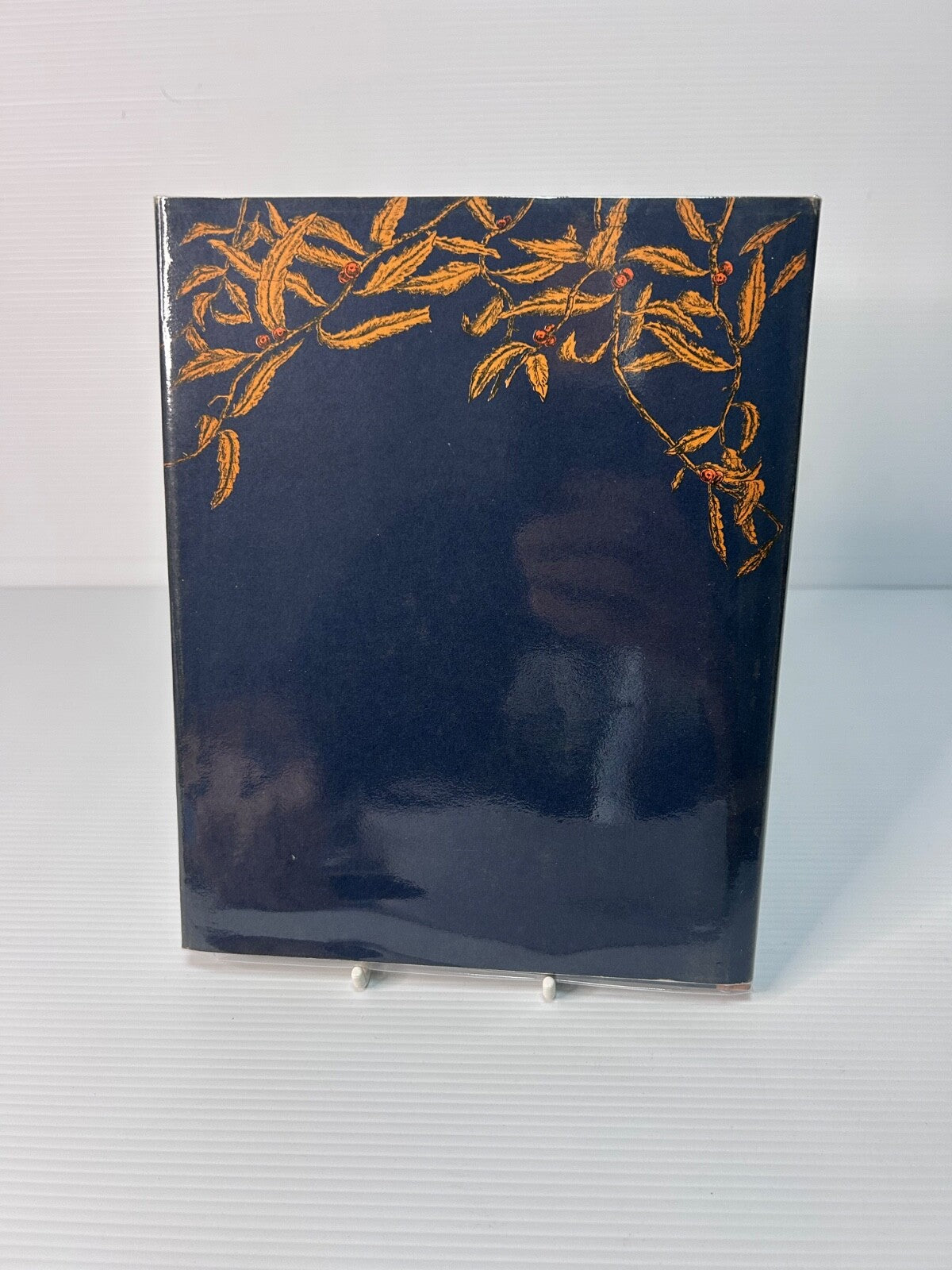Strange Fishes of the Sea Olive L. Earle 1969 HC DJ World's Work 1st Ed