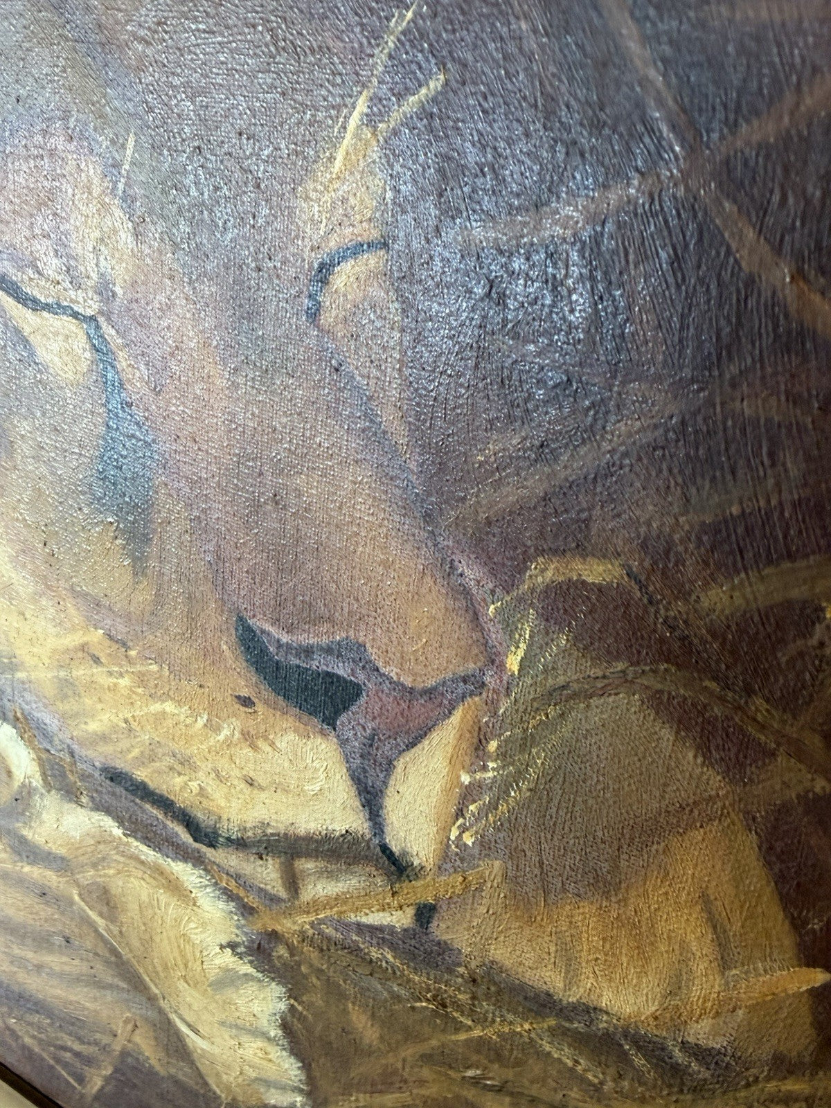 Large Original 1924 Oil Painting Lions – Signed J.M.J. – Period Frame