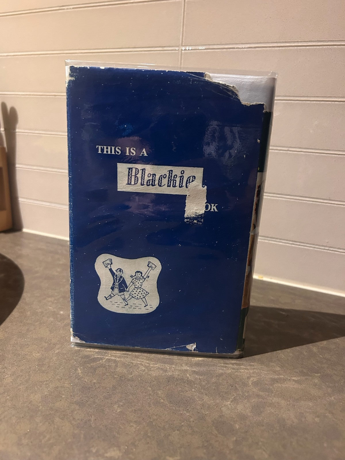 The Templeton Twins – Judith Carr | Early Ed. Vintage Hardcover w/ Dust Jacket