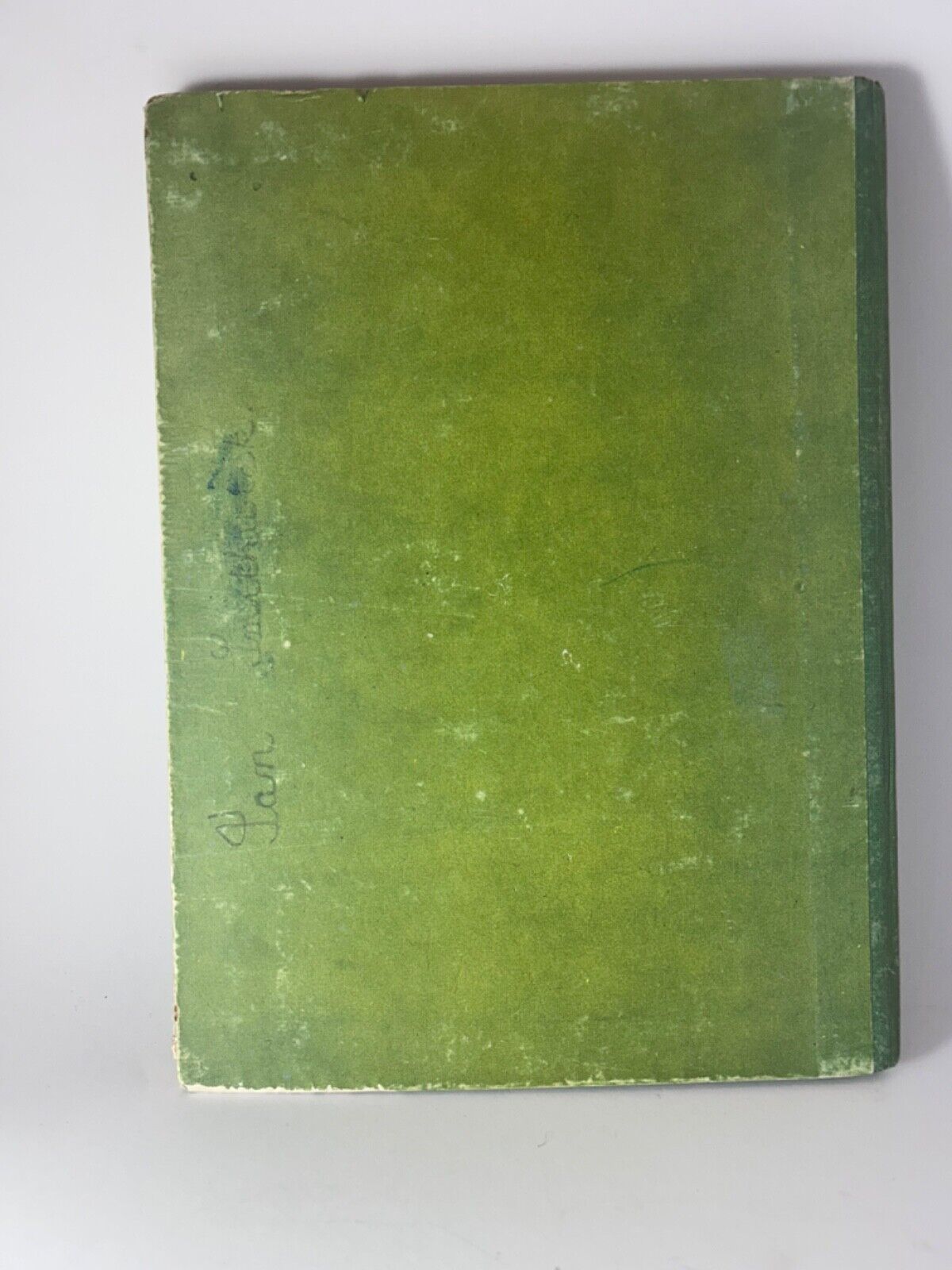 Circa 1945 Donald Duck's Wonder Book Copyright Walt Disney Mickey Mouse Ltd RARE