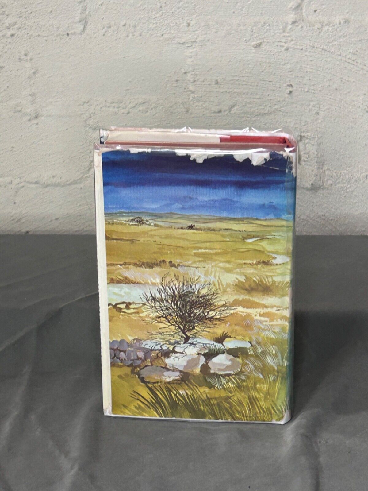Penmarric by Susan Howarch (1971) Hamish Hamilton First Edition Hardcover