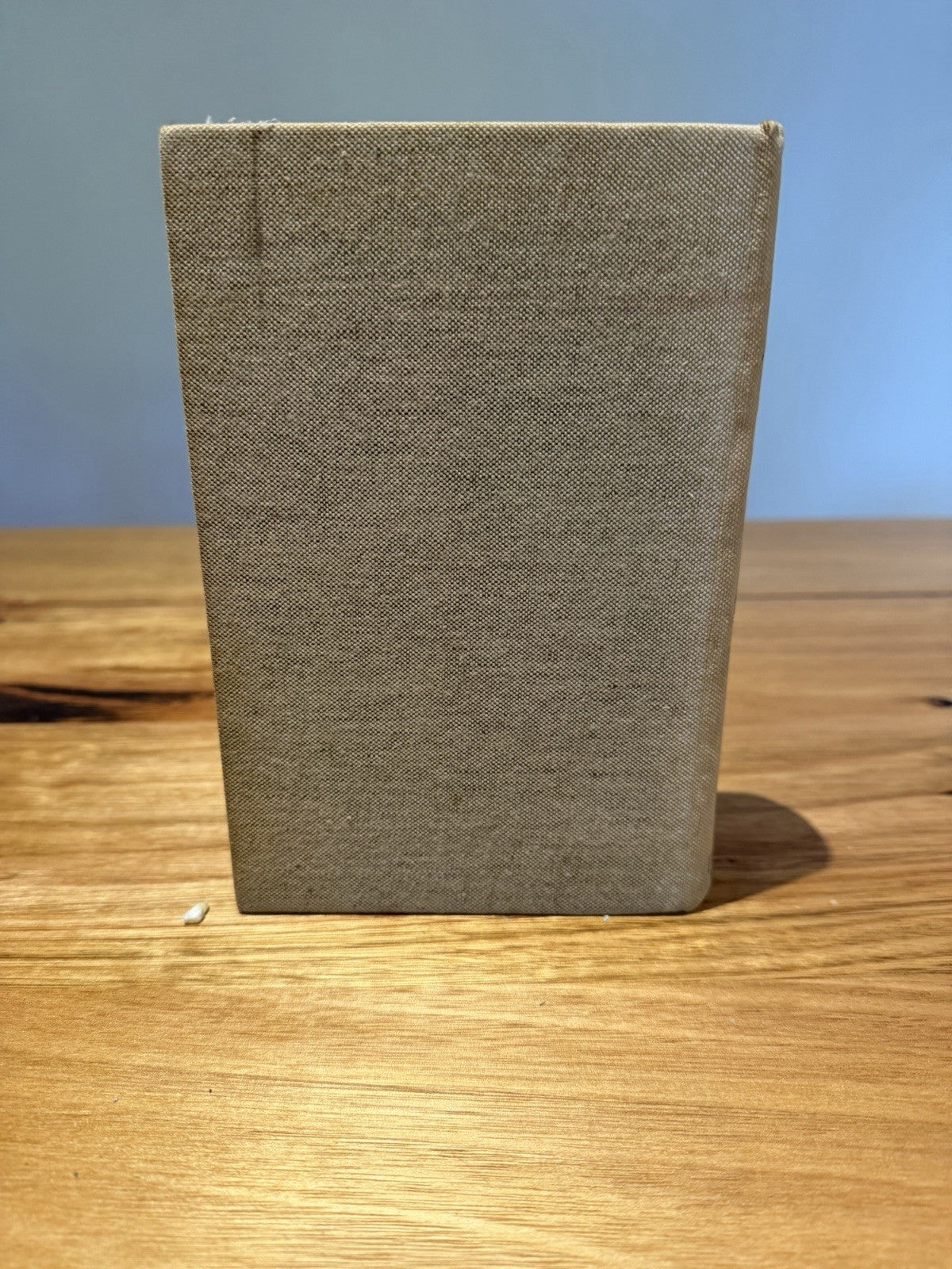 All Quiet on the Western Front Erich Maria Remarque 1929 Putnam Early UK Edition