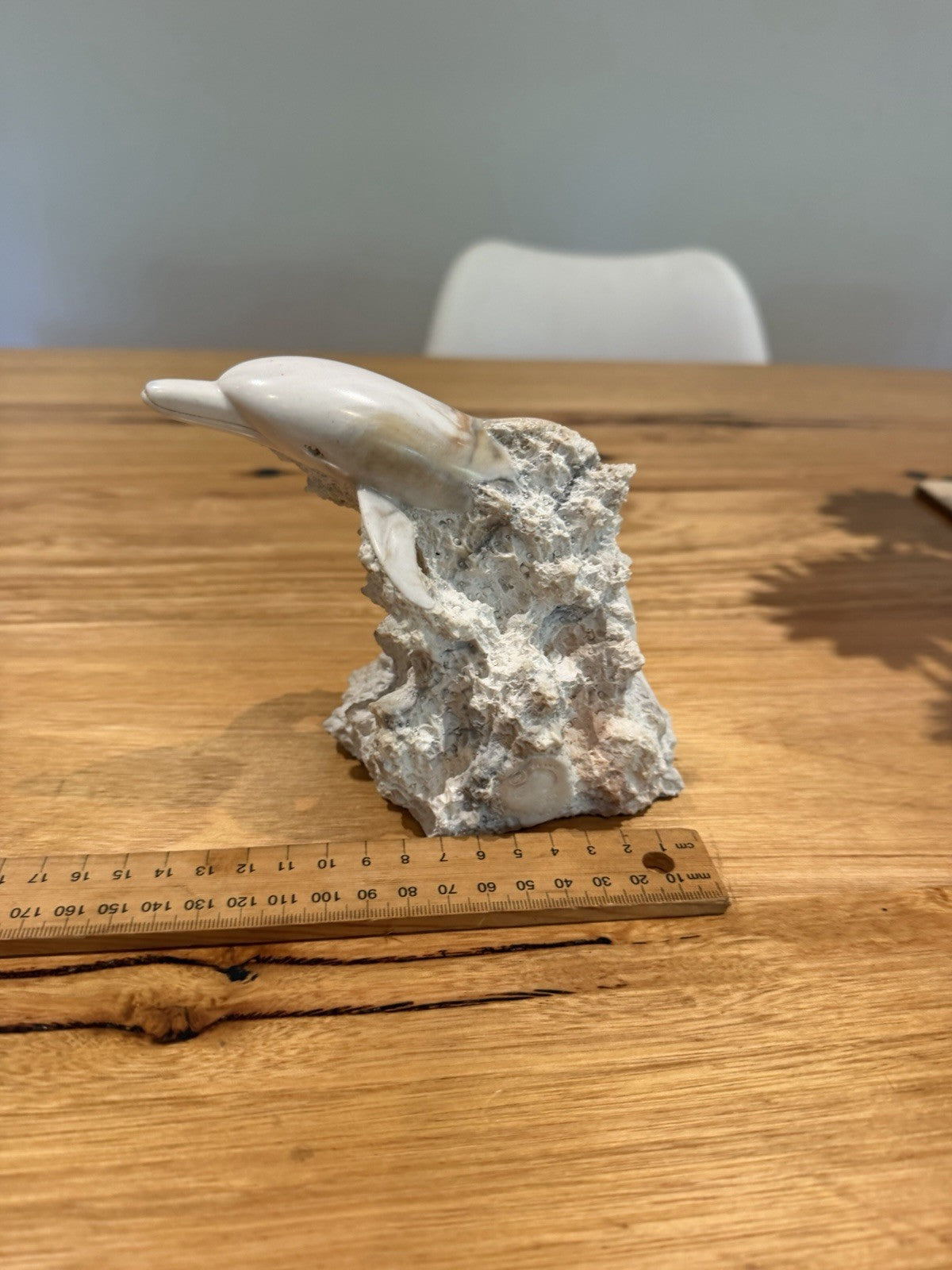 Foot Artworks Dolphin Coral Reef Sculpture 98/100 Australian Marine Art