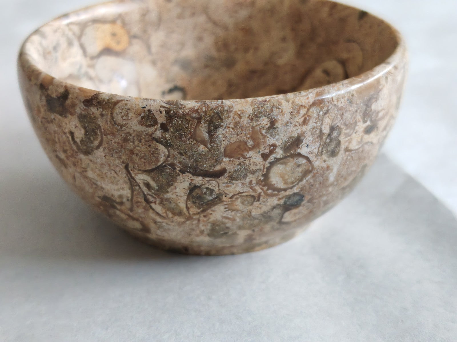 Vintage Polished Fossil Stone Bowl / Dish – Natural Earth Tones c. Mid–Late 20th