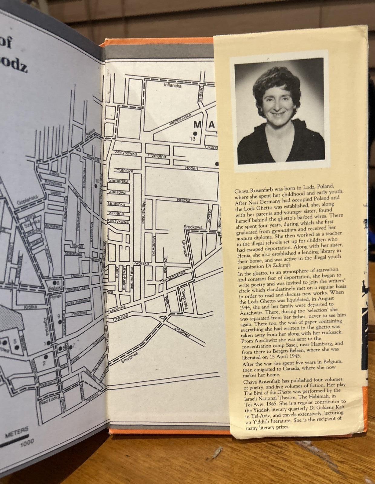 The Tree of Life Chava Rosenfarb 1985 Scribe 1st English Ed Lodz Ghetto