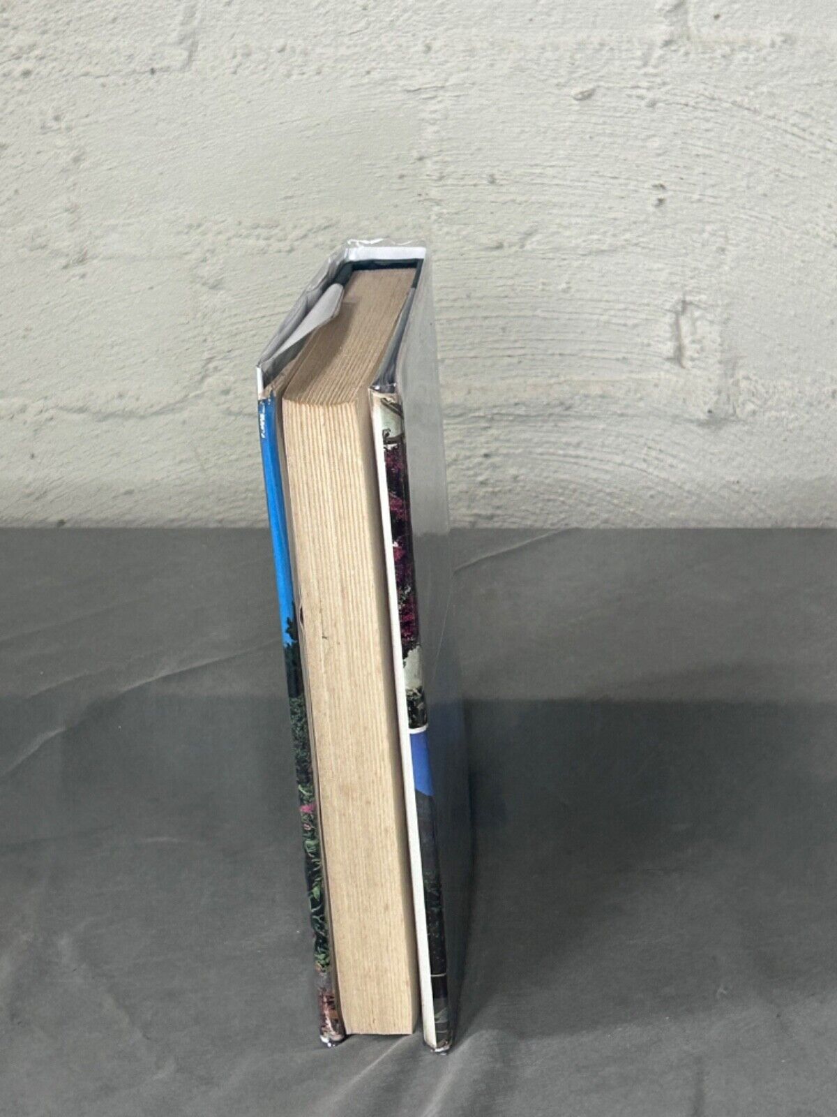 Home From Sea by Joy Packer First Edition Dust Jacket and Hardcover