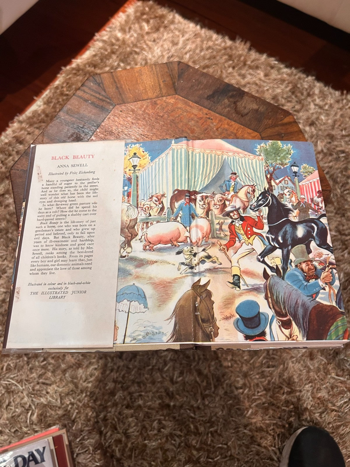 Black Beauty by Anna Sewell | Vintage Illustrated Hardcover | Fritz Eichenberg