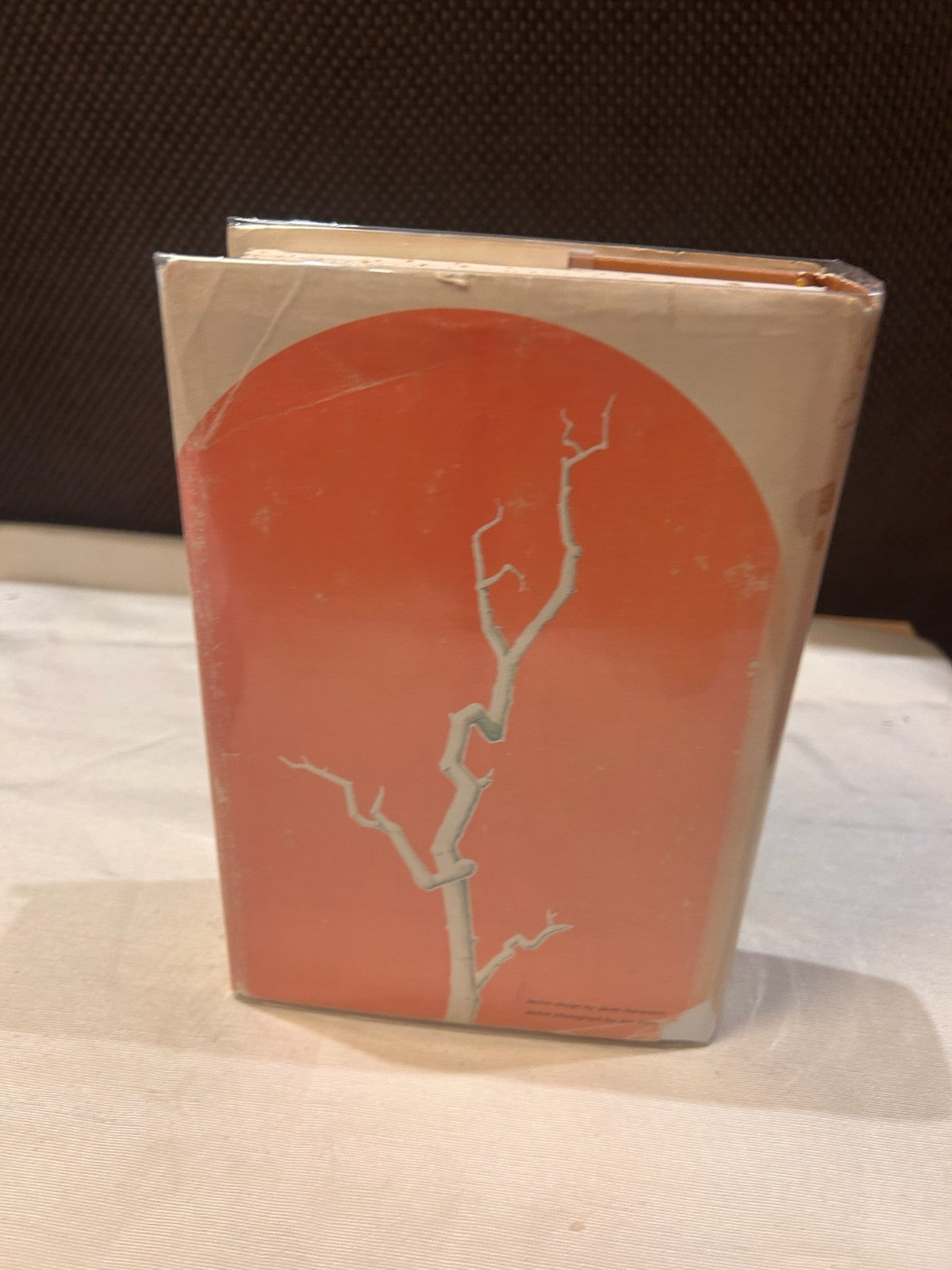 The Thorn Birds – Colleen McCullough | Vintage Hardcover w/ Dust Jacket 1st Ed
