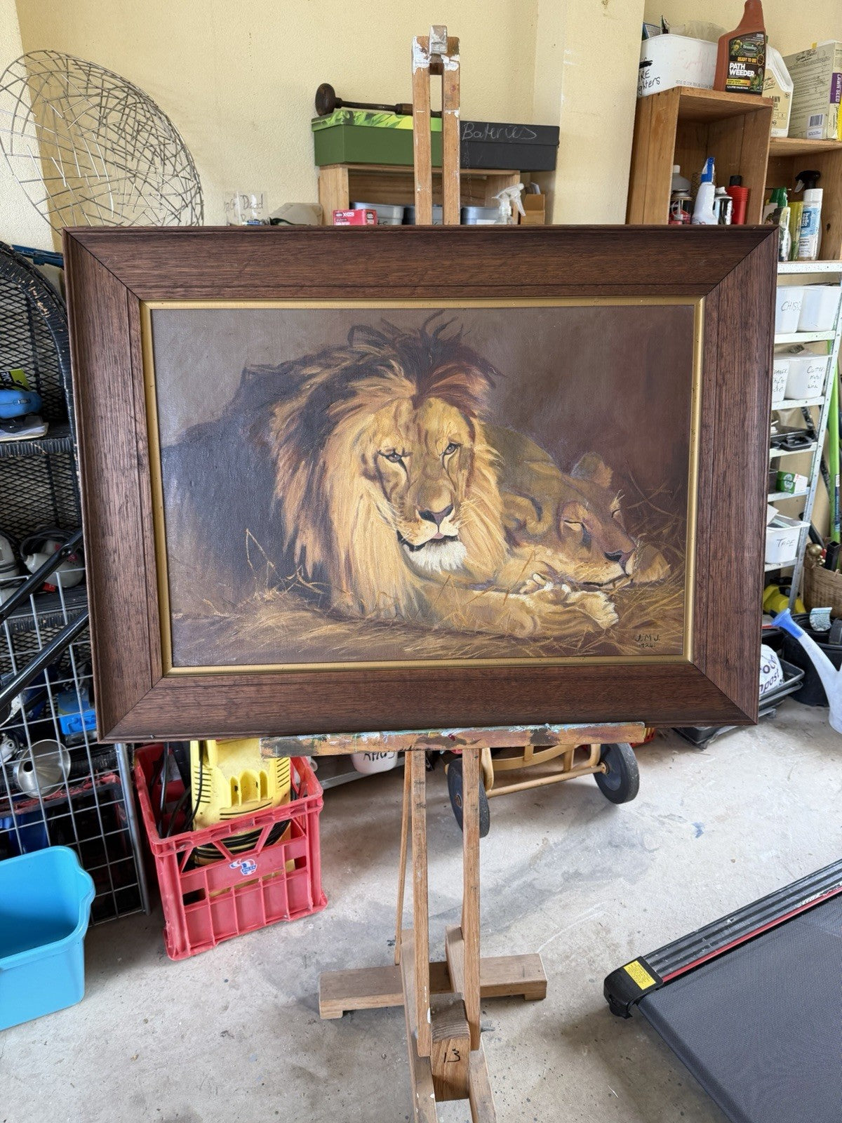 Large Original 1924 Oil Painting Lions – Signed J.M.J. – Period Frame