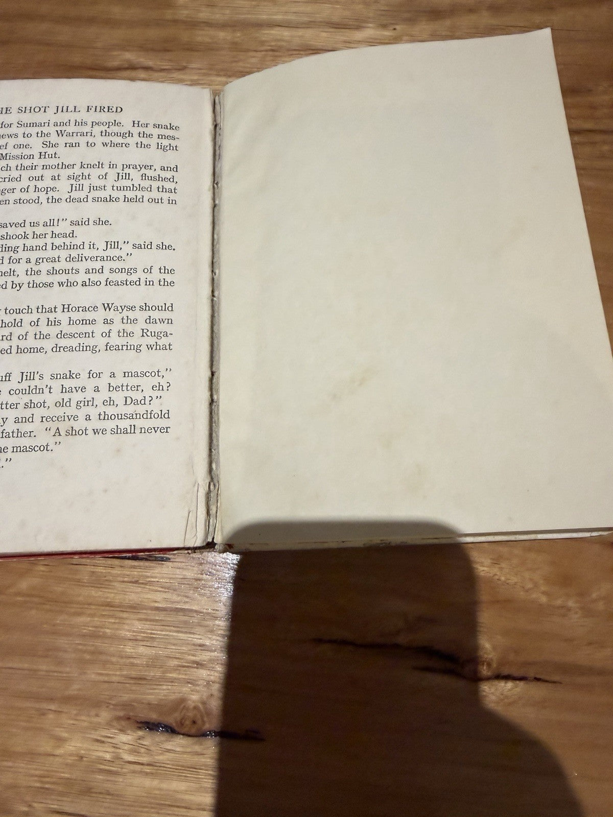 Warne’s Top-All Book for Girls Mary England 1935 Vintage Illustrated Hardcover