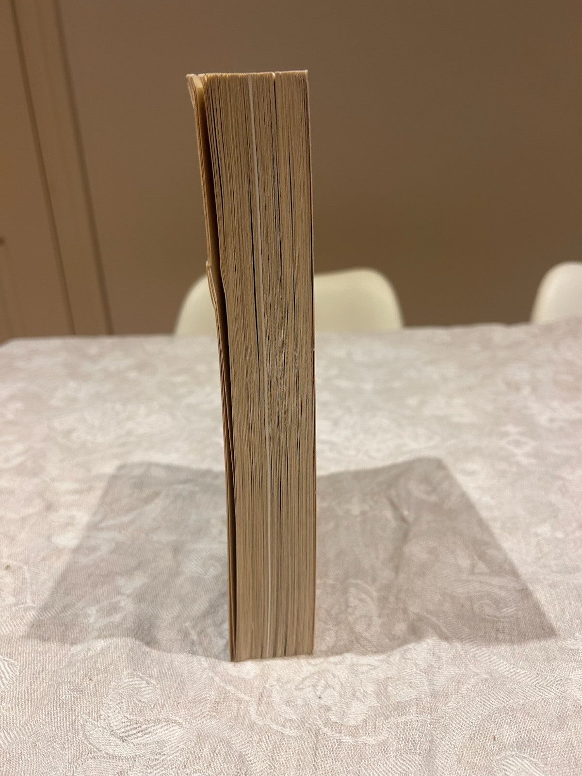 A Woman of Independence - Signed First Edition Kirsty Sword Gusmão | 2003