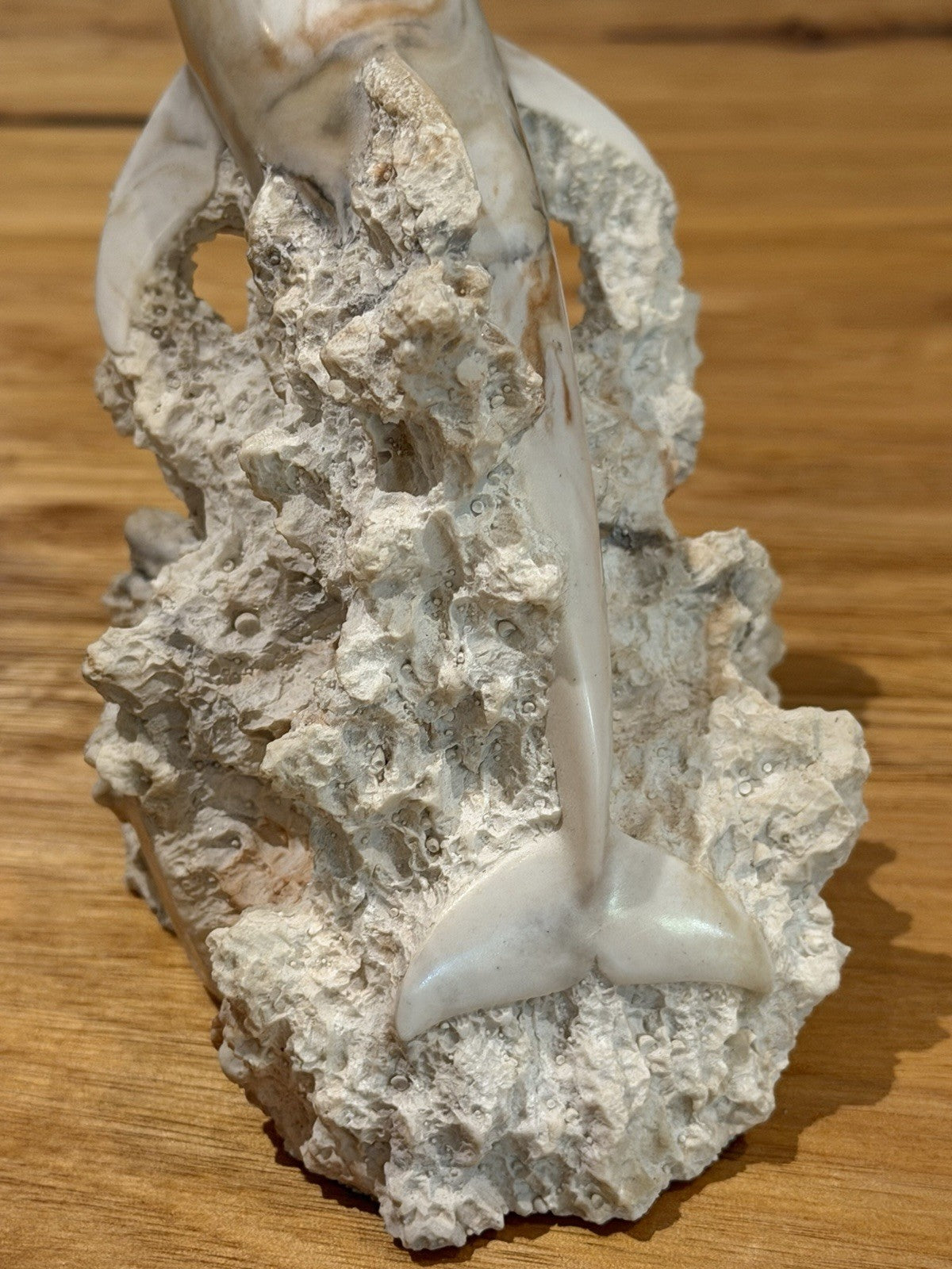 Foot Artworks Dolphin Coral Reef Sculpture 98/100 Australian Marine Art
