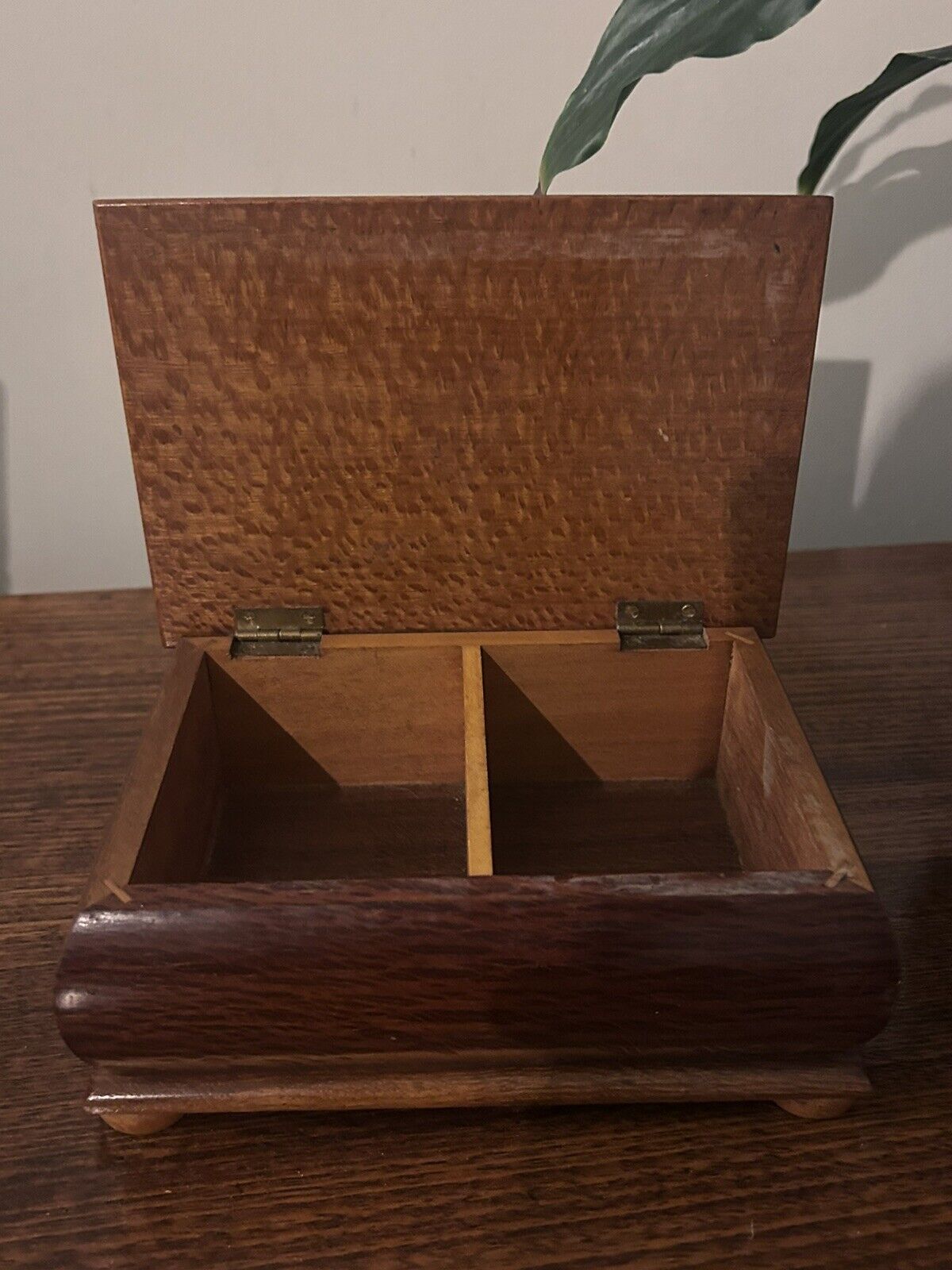 Australian Timber Gems of the Forest  Jewelery Box - Vintage Collectable