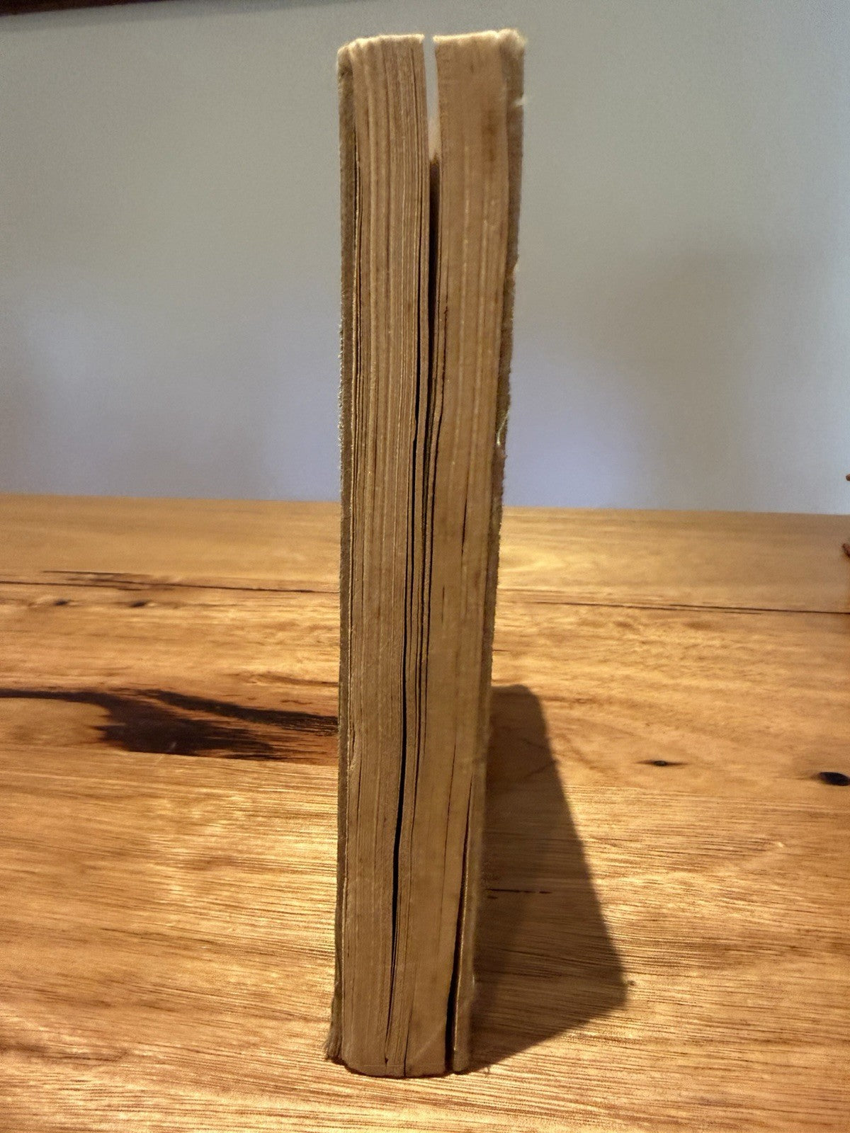 Green and Gold Cookery Book 15th Edition Vintage Australian Cookbook Adelaide