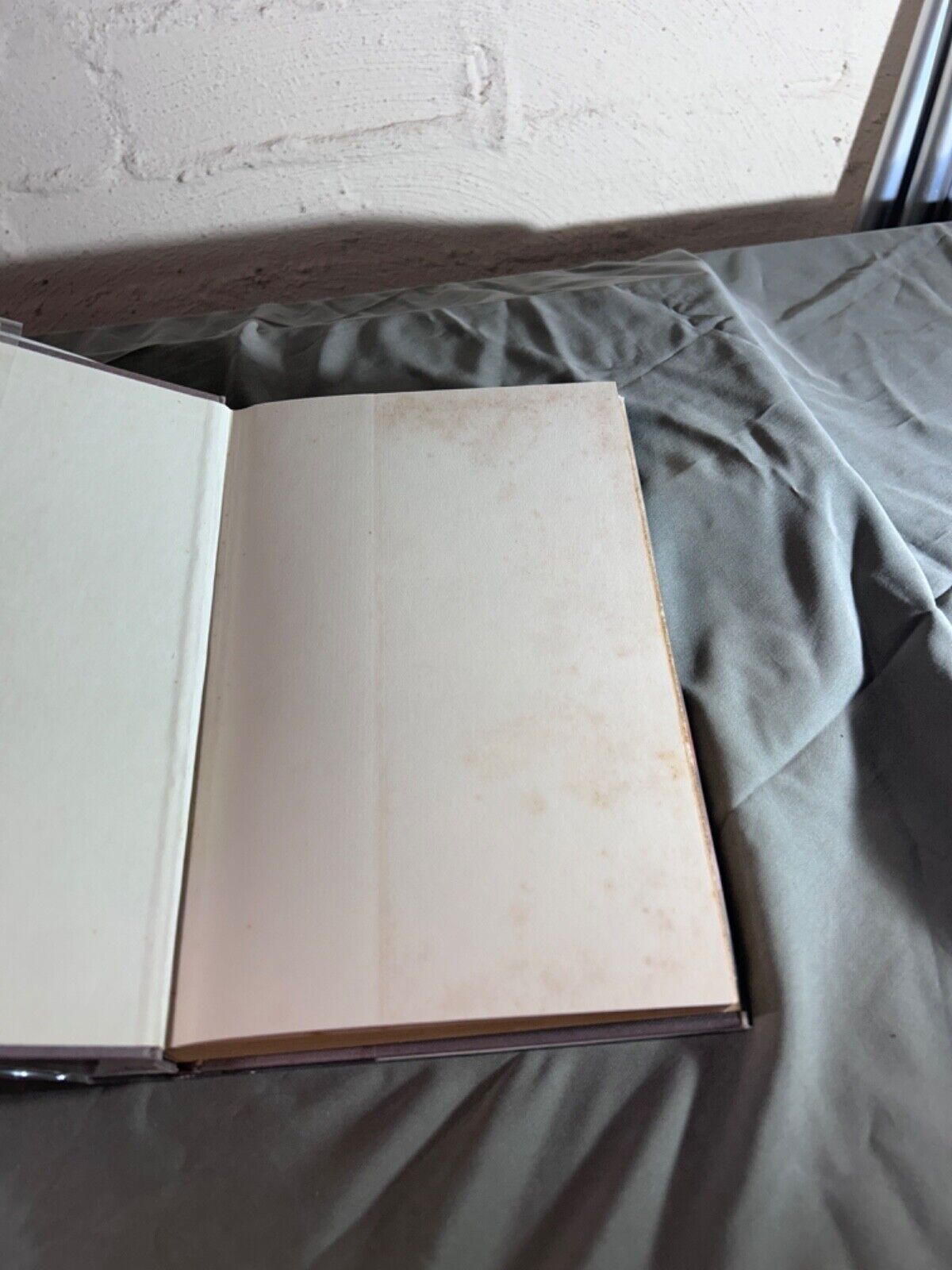 The Long Dark Tea-Time of the Soul First Edition & Dirk Gently's - Douglas Adams