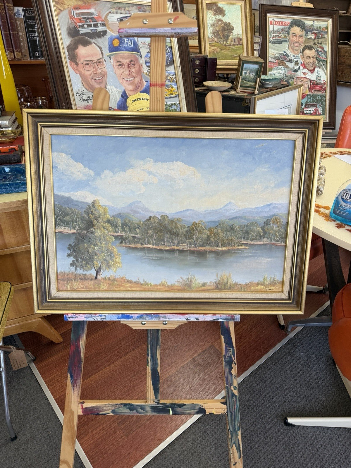 Sally Brown Original Oil Painting Terramona Lake NSW Australian Landscape Art