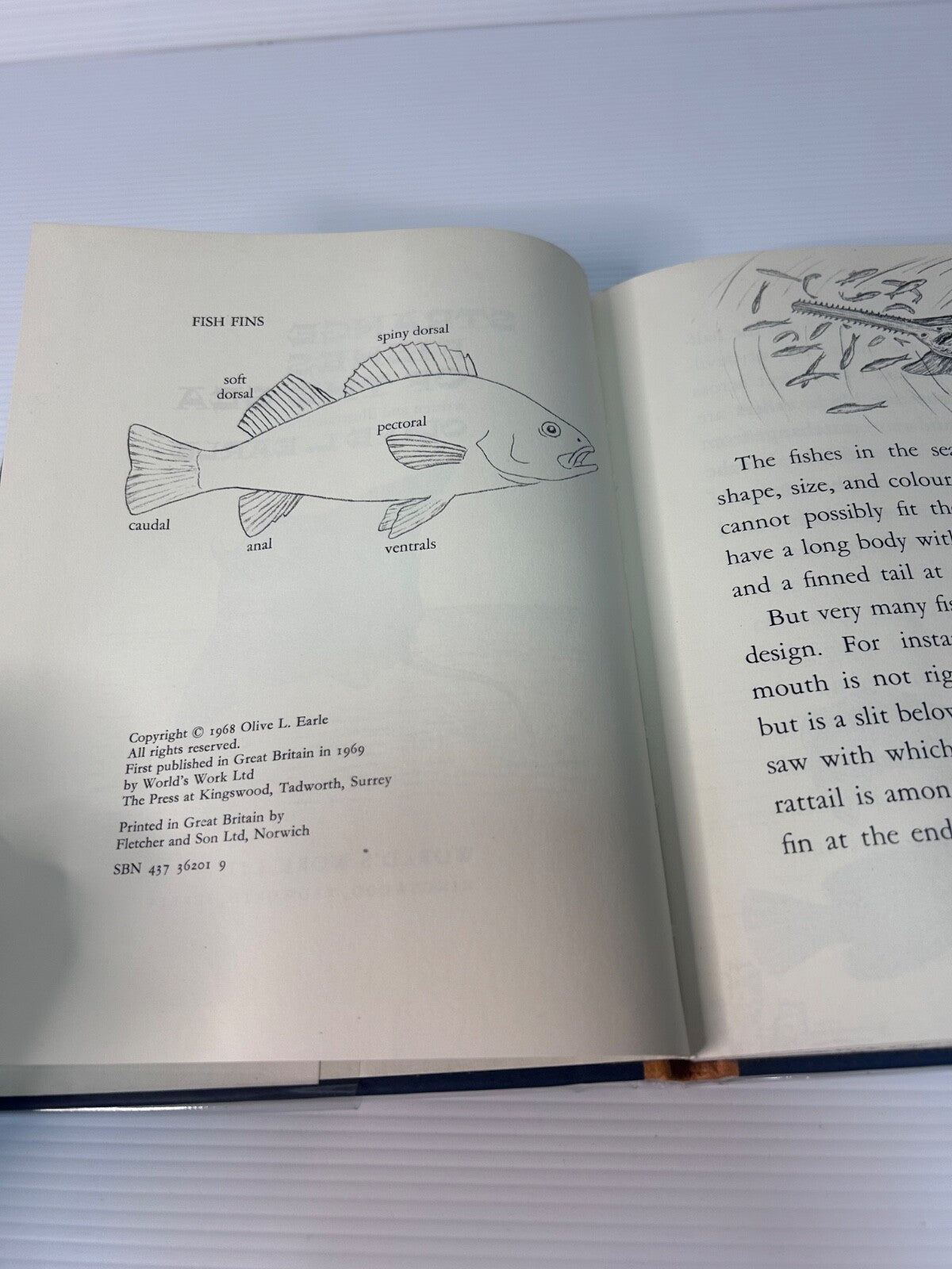 Strange Fishes of the Sea Olive L. Earle 1969 HC DJ World's Work 1st Ed
