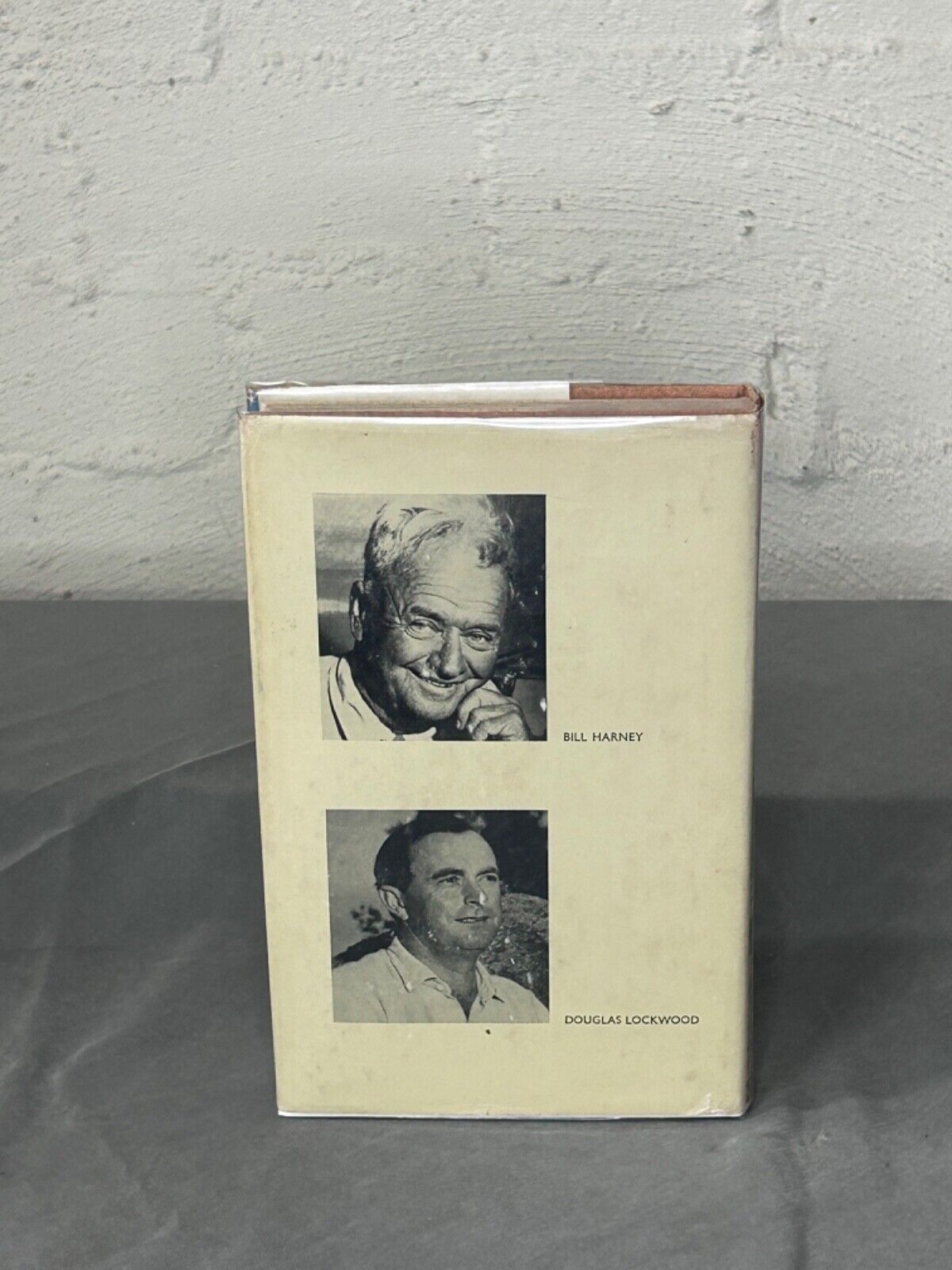The Shady Tree Bill Harney & Douglas Lockwood First Edition Hardcover Dust Jacke