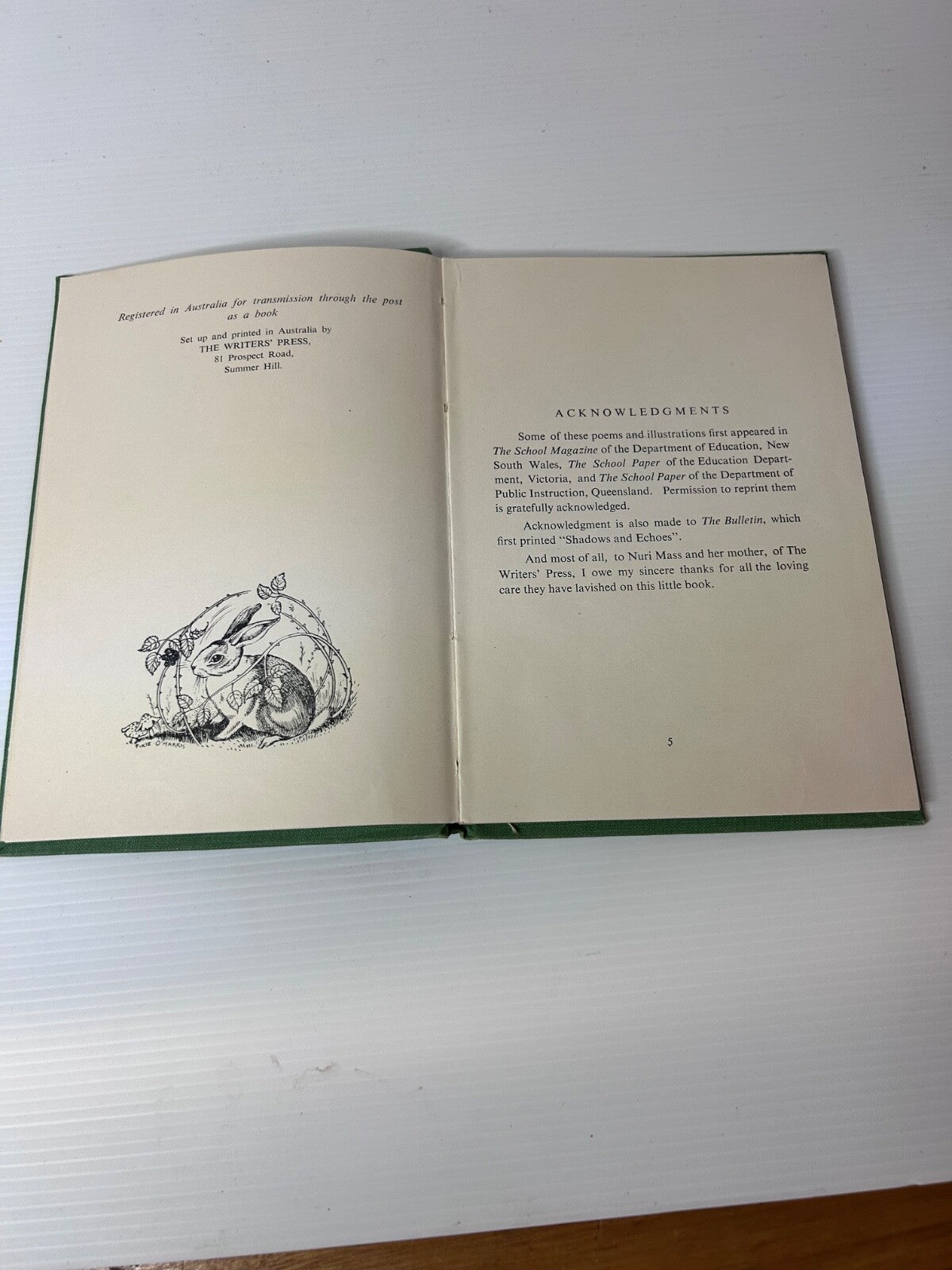 marbles in my pocket by lydia pender