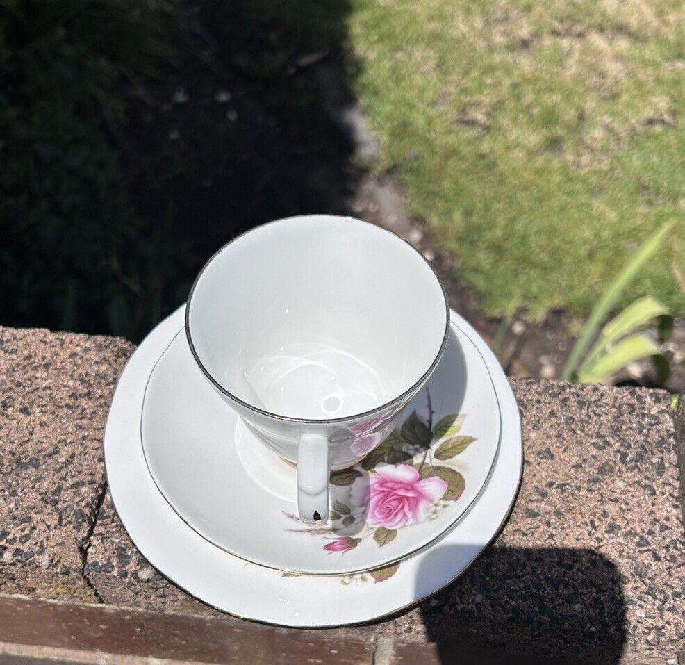 Kingsley Staffordshire England Tea Cup And 2 x Plate Set - Bone China