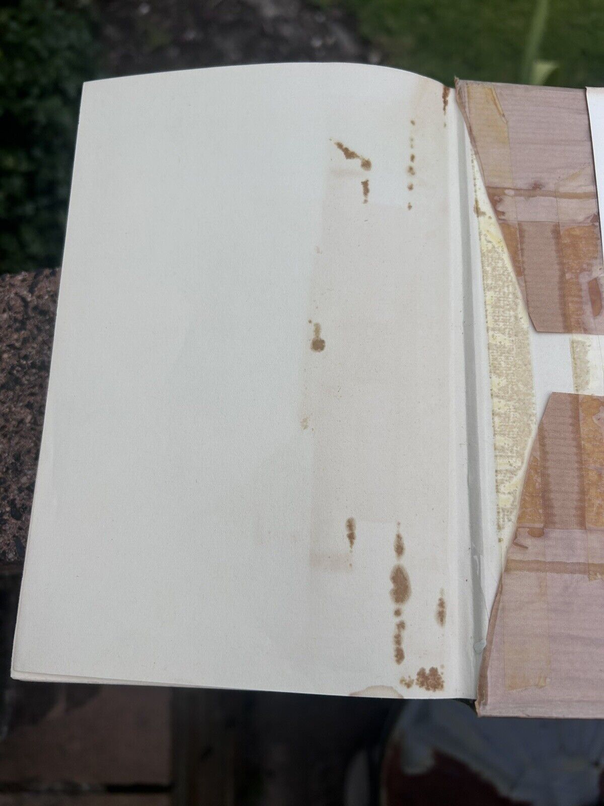 Pioneer, Go Home! Novel by R Powell 1959 Hodder And Stoughton (Vintage) Elvis